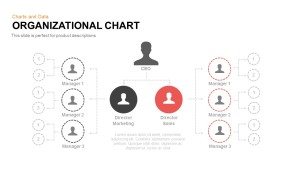 Product Life Cycle PowerPoint Template and Keynote Diagram