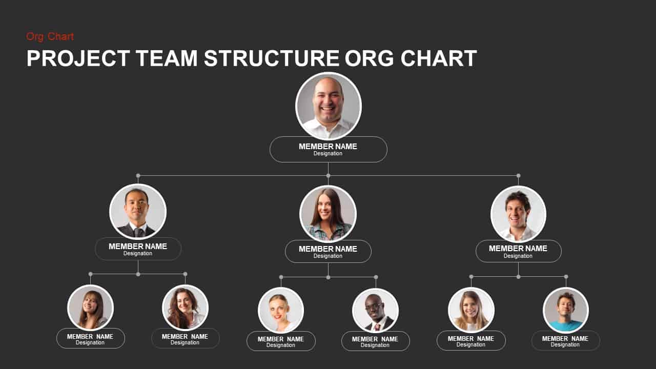 Project Team Structure Chart