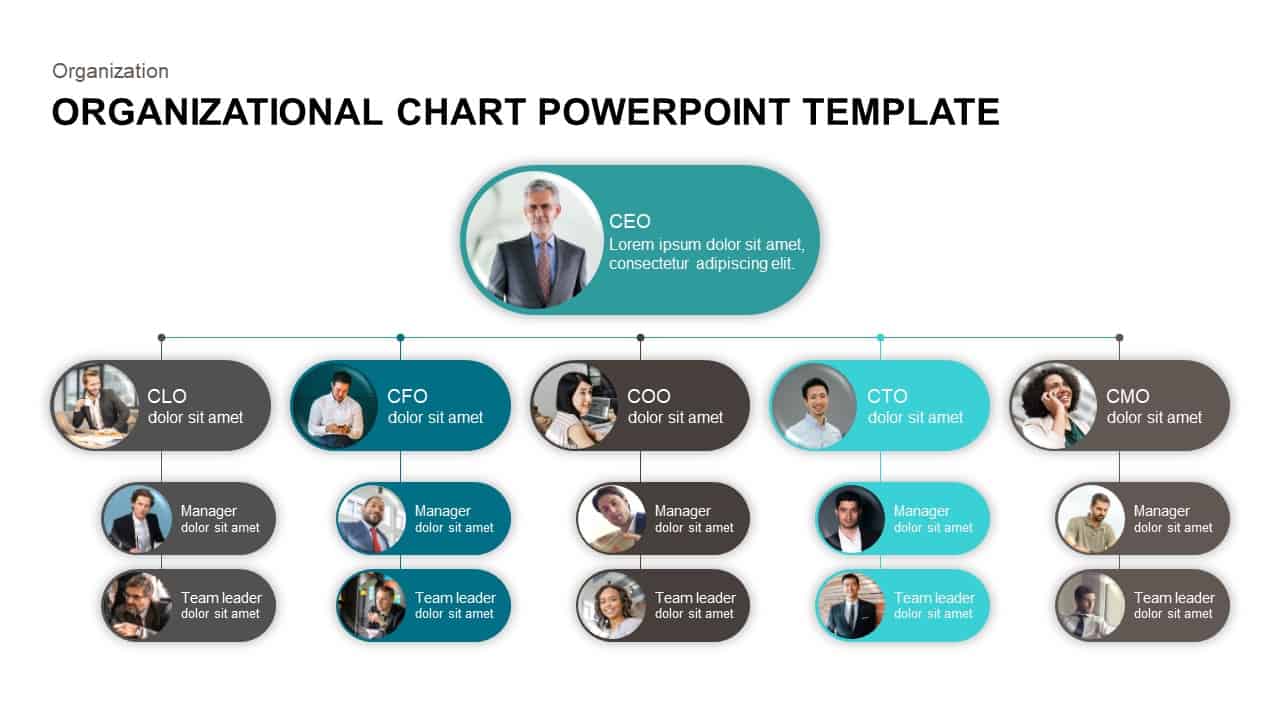 Organisation Chart Format